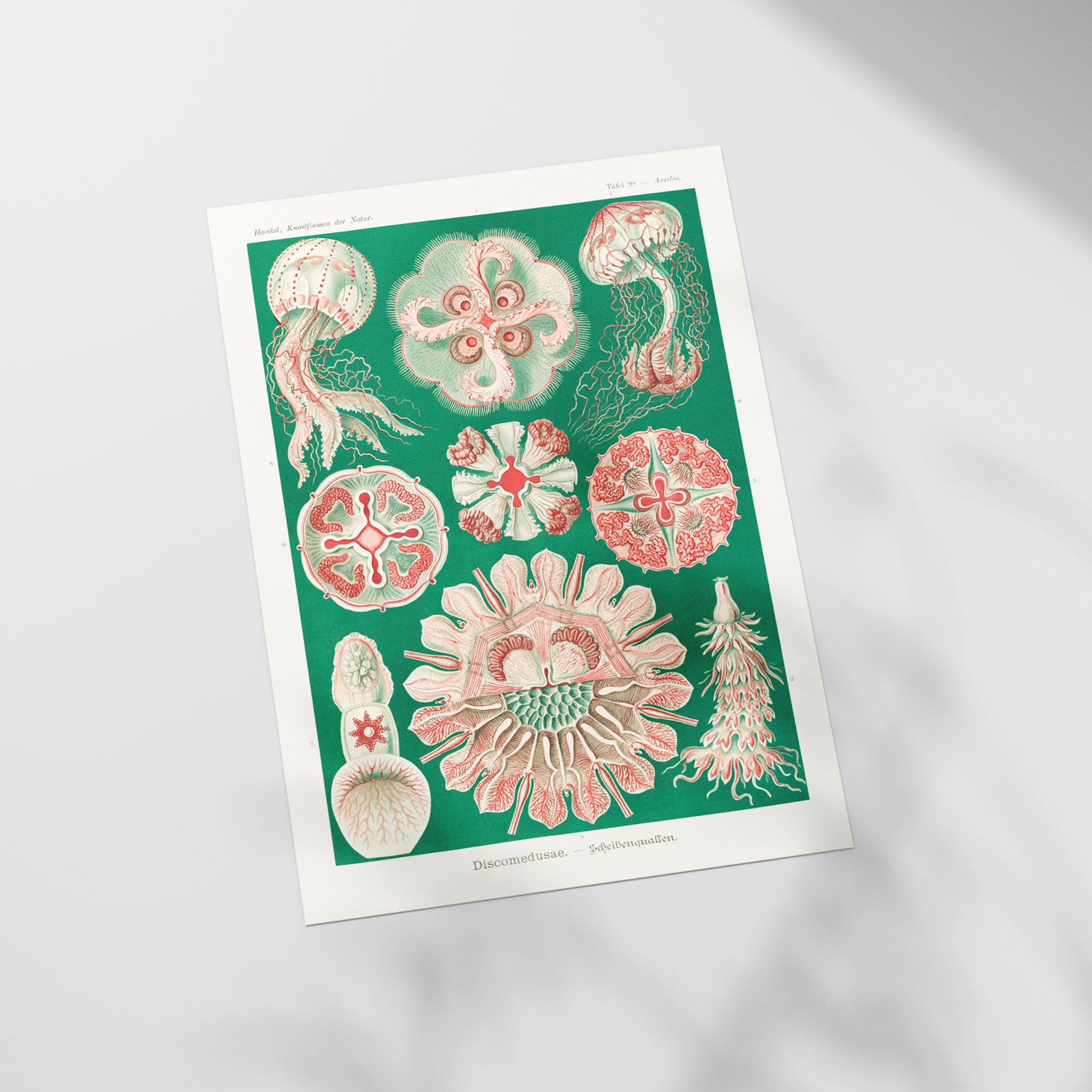 a picture of a bunch of flowers on a table