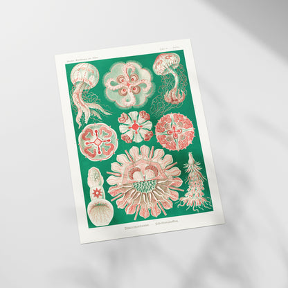 a picture of a bunch of flowers on a table