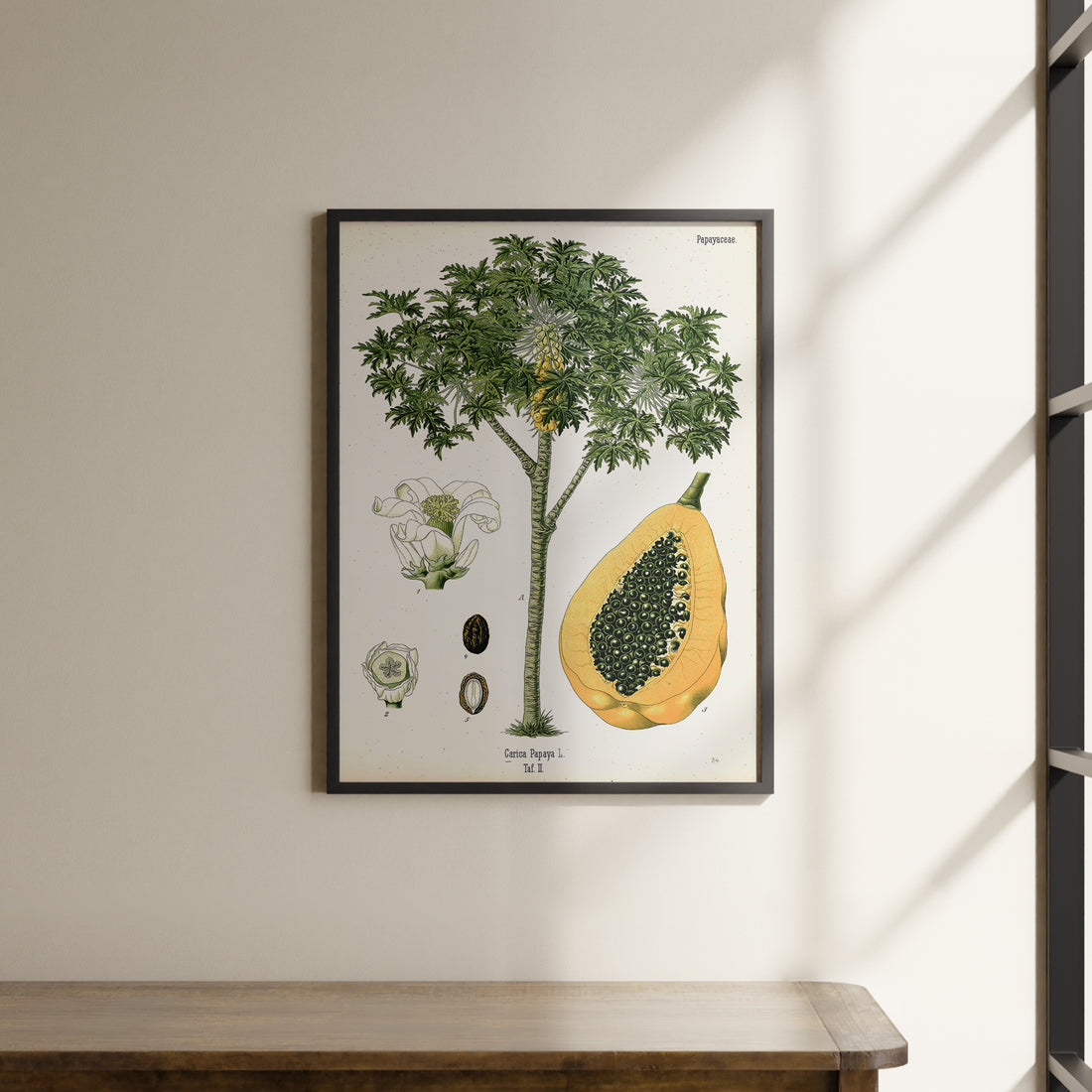 a picture of a tree and a pear hanging on a wall