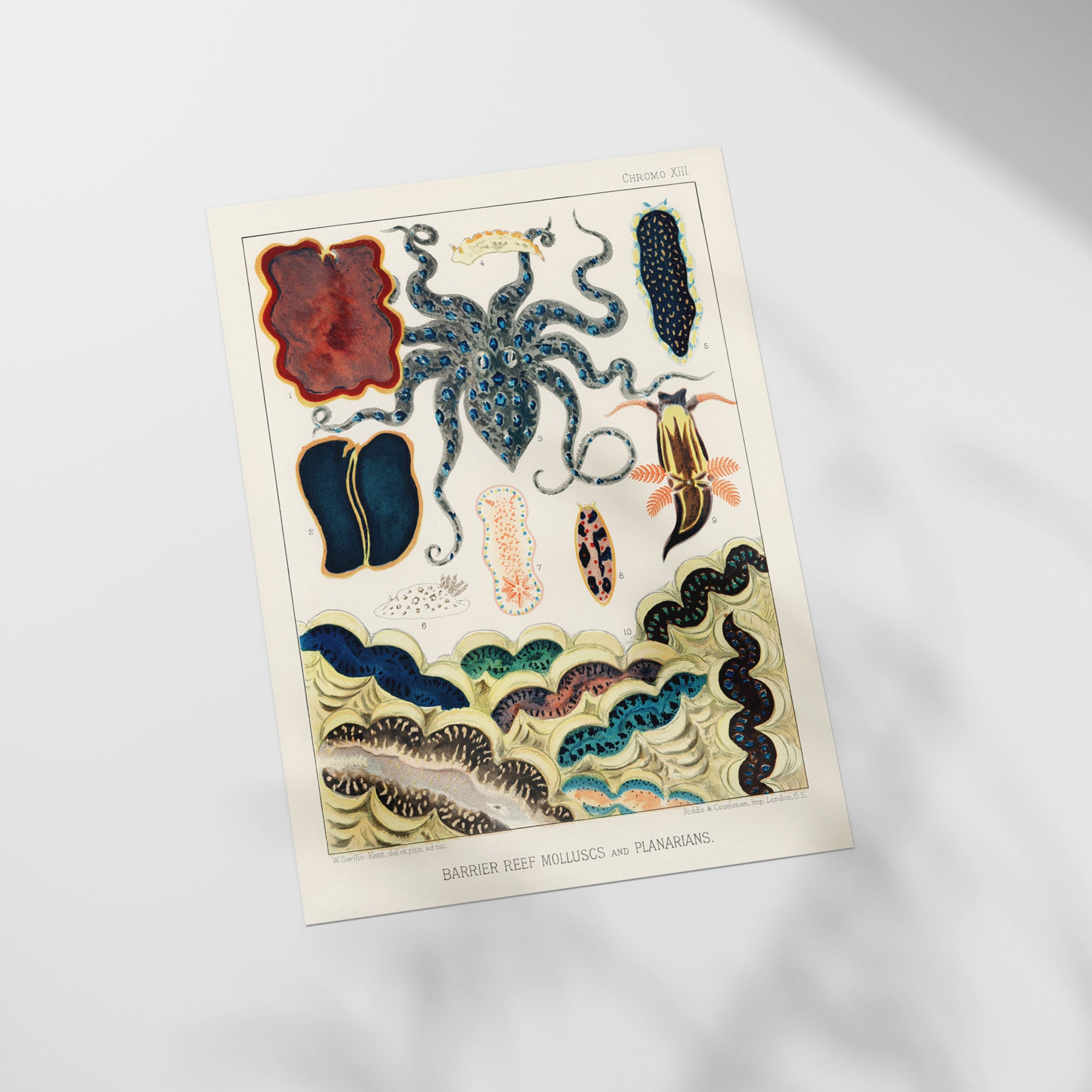 a close up of a sheet of paper with a design on it