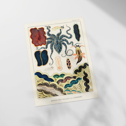 a close up of a sheet of paper with a design on it