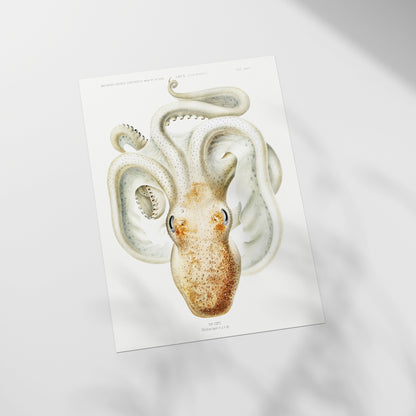 a picture of an animal with a strange look on it&