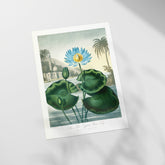 a painting of a blue flower with a yellow center