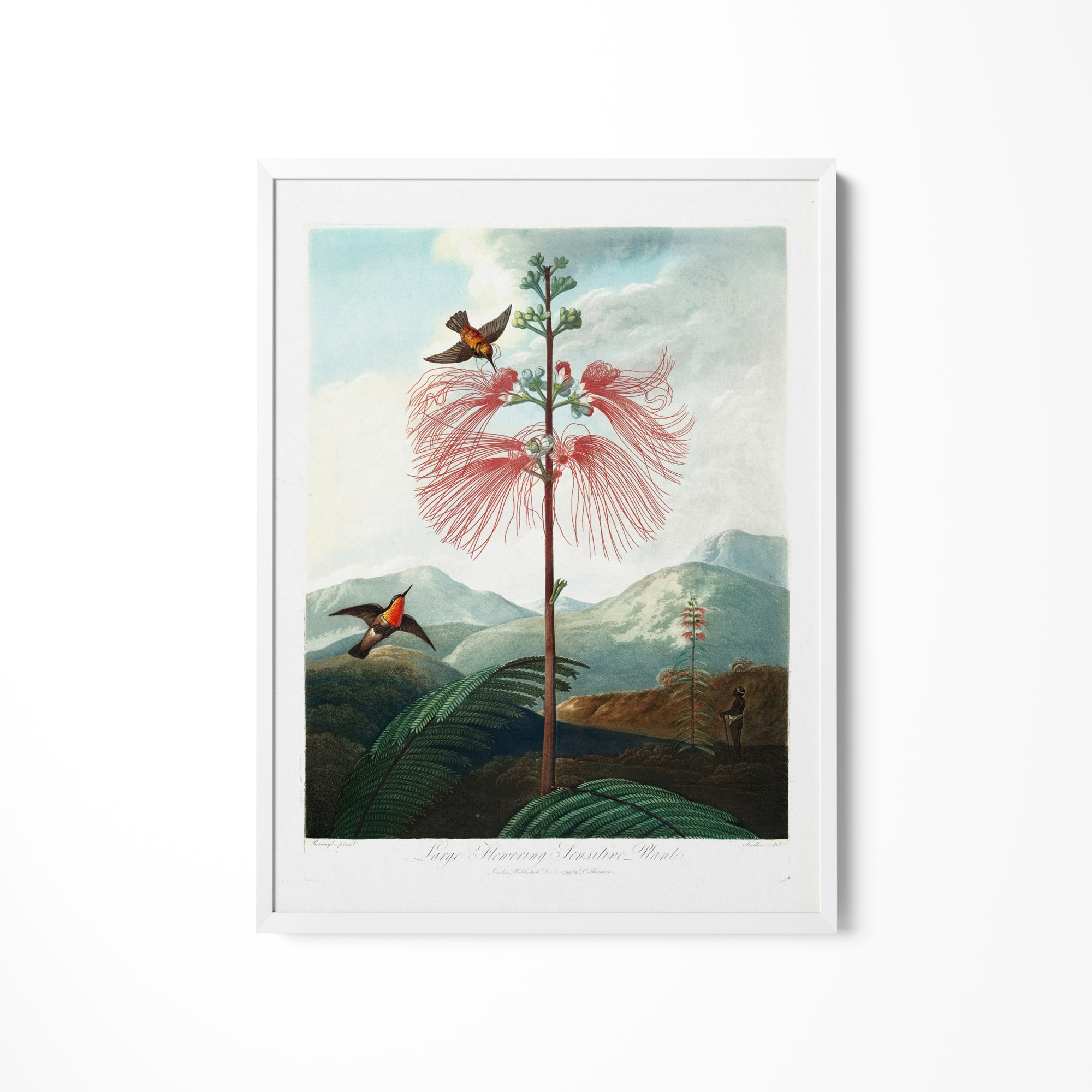 a painting of a bird sitting on top of a tree