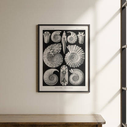 a picture hanging on the wall of a room