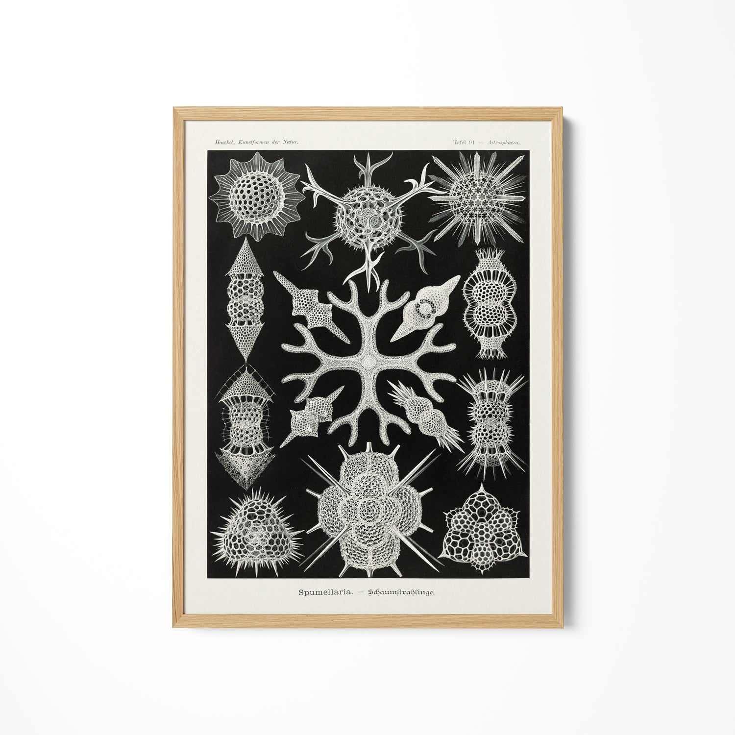a black and white print of a tree