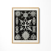 a black and white print of a tree