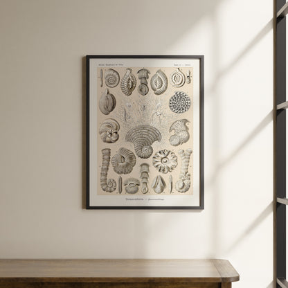 a picture hanging on the wall of a room